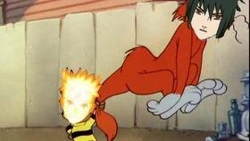 最新爆料杜鹃鸟,揭秘神秘鸟类的迁徙之谜