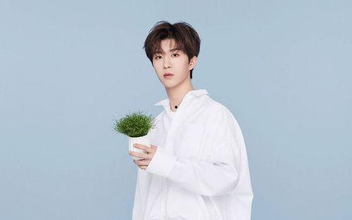 贾玲范丞丞最新爆料视频,娱乐圈幕后真相大曝光!